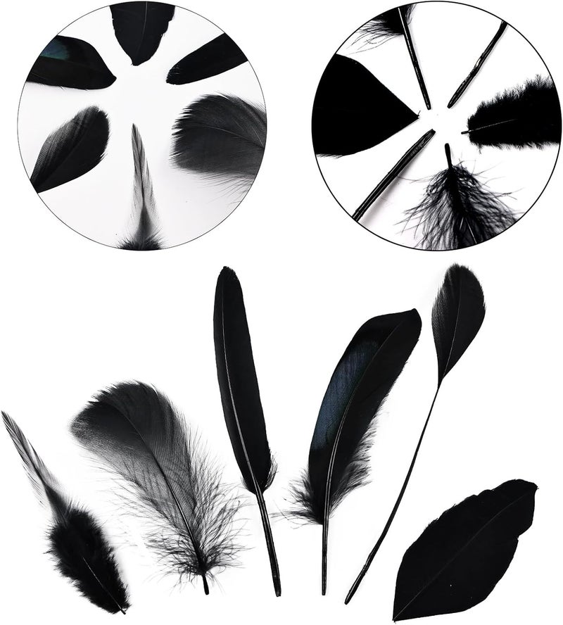 Daieeparty Black Craft Feathers Bulk - 180pcs 6 Style Mixed Natural Feathers for Wedding,DIY Crafts (Black) - Image 3